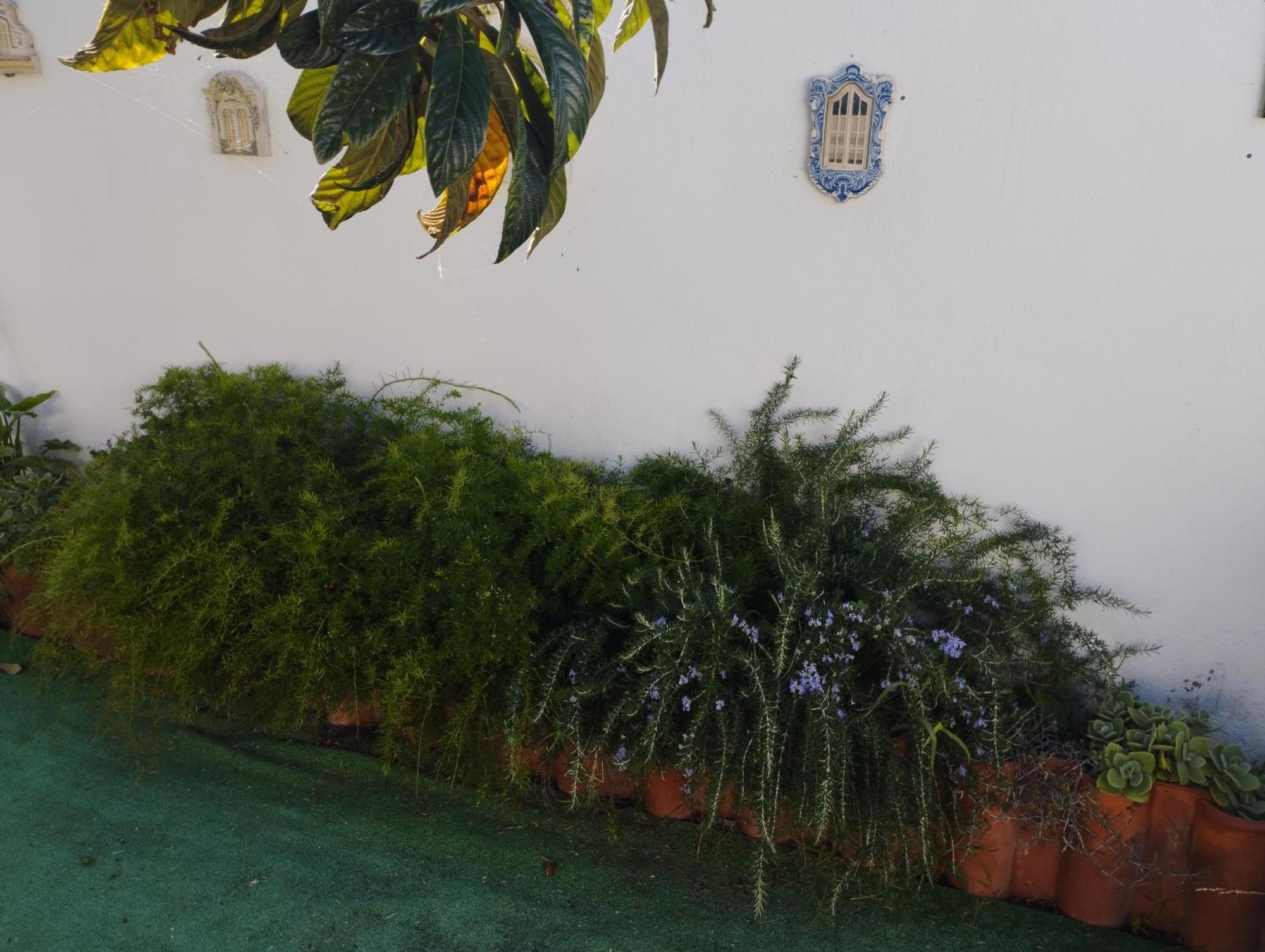 Casa Sarguito Hotel Sagres Exterior foto